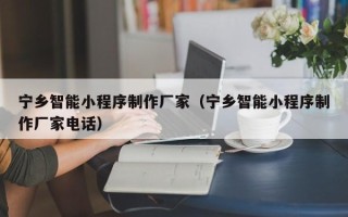宁国宁乡智能小程序制作厂家（宁乡智能小程序制作厂家电话）