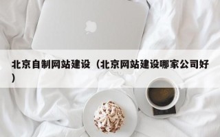 宁国北京自制网站建设（北京网站建设哪家公司好）